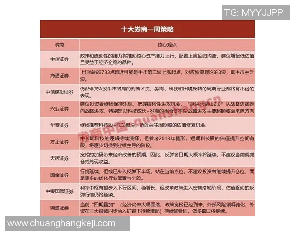 深入分析武汉排球队的防守策略与战术执行细节