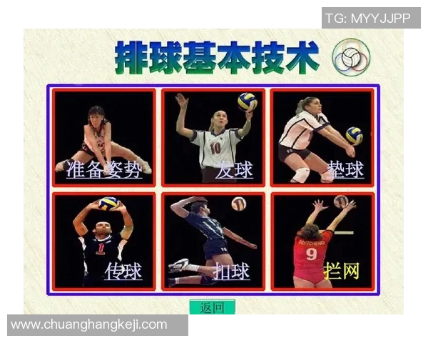 成都排球队领跑最新排球个人能力排行榜前十名分析与解读